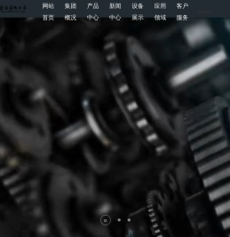 山东东阿钢球集团有限公司
