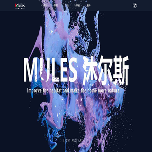 进口艺术漆代理 - 艺术涂料品牌招商|加盟 - 沐尔斯艺术漆