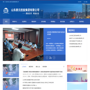 山东鼎元控股集团有限公司
