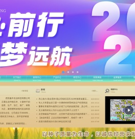 西安鑫丰农业科技有限公司|秦鑫|农作物种子|小麦品种|玉米品种