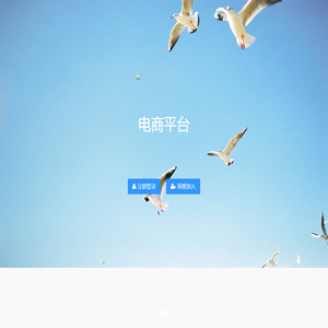 电商平台