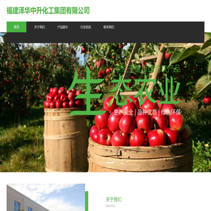 福建泽华中升化工集团有限公司