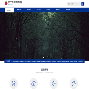 武汉市遣贰师商贸有限公司