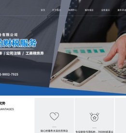 乐山布丁财税服务有限公司