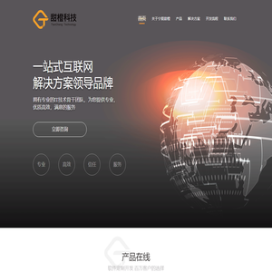 宁夏甜橙科技有限公司