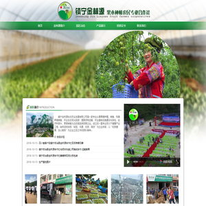 六马李子苗圃|六马蜂糖李|六马四月李|六马香脆李 镇宁金林源