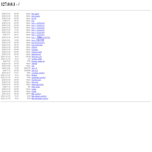 127.0.0.1 - /