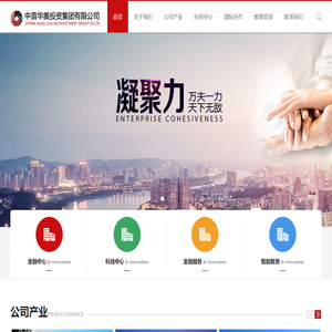 中首华奥投资集团有限公司
