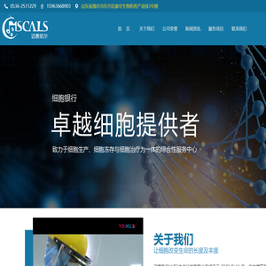 多能干细胞,自体免疫细胞储存,迈赛凯尔(山东)生命科学有限公司
