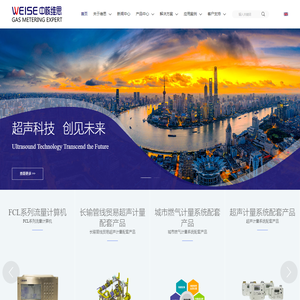 上海中核维思仪器仪表股份有限公司-上海中核维思仪器仪表股份有限公司