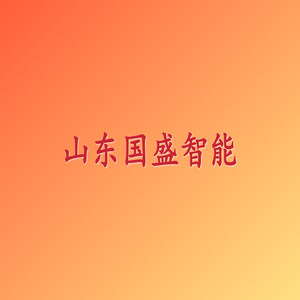山东国盛智能