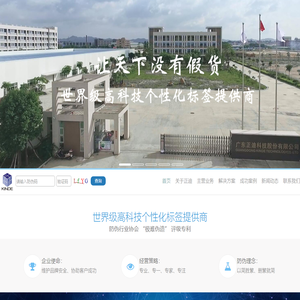 广东正迪科技股份有限公司