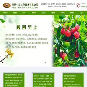 牡丹芍药、花卉苗木、果树苗木、观叶植物、爬藤植物、园林树木―菏泽中欣牡丹园艺有限公司