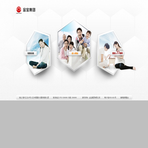 广东金宝集团