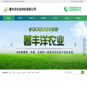 巴林左旗薯丰洋农业科技有限公司-马铃薯种子培育基地