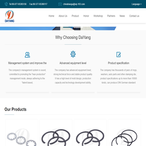 WENZHOU DAYANG FASTENER CO.,LTD-WENZHOU DAYANG FASTENER CO.,LTD