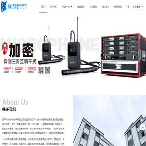 恩平市咪诗特电子有限公司
