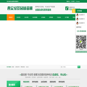白皮松_陕西白皮松批发价格_基地报价行情_西安绿景园林苗圃