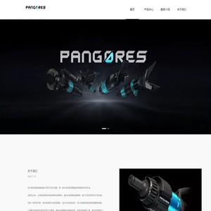 盘古智能 I PANGORES