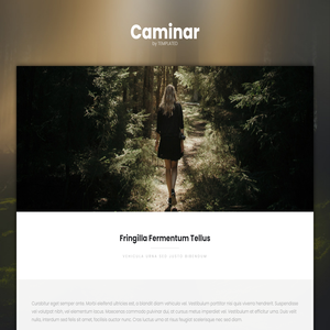 Caminar by TEMPLATED