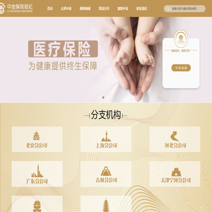 中金保险经纪