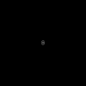 SDK Demo