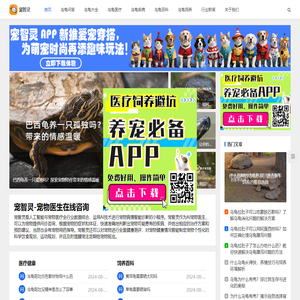 乌龟医生在线上咨询问诊断-宠物乌龟品种喂养百科-宠智灵