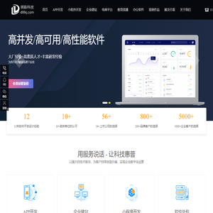 领路科技_APP开发_软件外包_企业网站_系统定制开发_大数据处理_大屏监控_架构咨询_人力外派