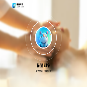 花猫到家