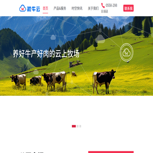 徽牛云