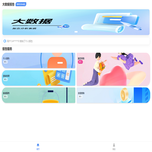大数据报告