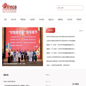 北京电子商务协会