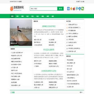 涤瑕荡秽网