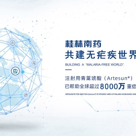 桂林南药股份有限公司