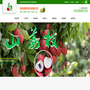 南山荔枝，深圳南荔农业荔枝园自销-质保优放心选购
