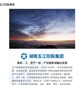 湖南五江控股集团有限公司