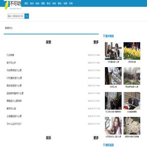 不可动摇网