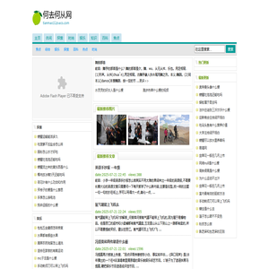 何去何从网