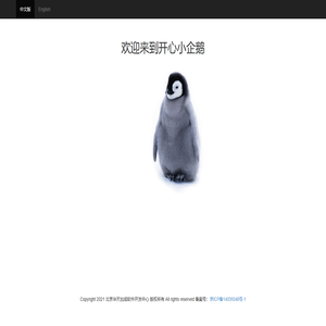 欢迎来到开心小企鹅