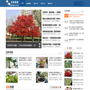 花韵家园_花卉养护指南，绽放绚丽花韵