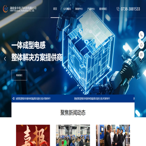 湖南业丰电子科技有限公司