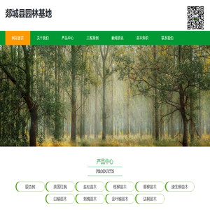 郯城县飞翔苗木