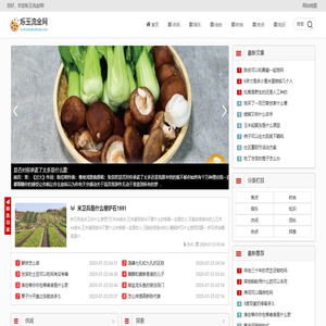 烁玉流金网