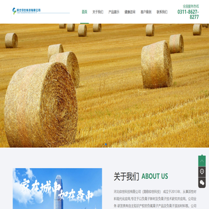 河北仰世科技有限公司官网