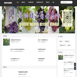 马陆葡萄采摘|马陆葡萄品种|马陆葡萄价格