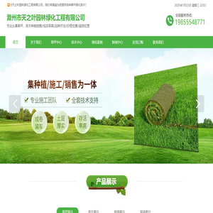 马尼拉草坪-百慕大草坪-滁州市天之叶园林绿化工程有限公司