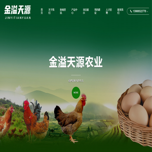 金溢天源【官方网站】