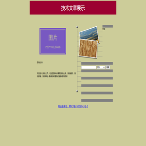技术文章展示