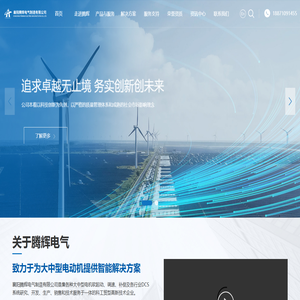无环流静止式进相器厂家-提供触摸屏电动机励磁柜,高压变频软启动柜-襄阳腾辉电气制造有限公司