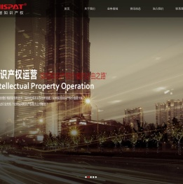 江苏唯智知识产权管理咨询有限公司，产权管理
